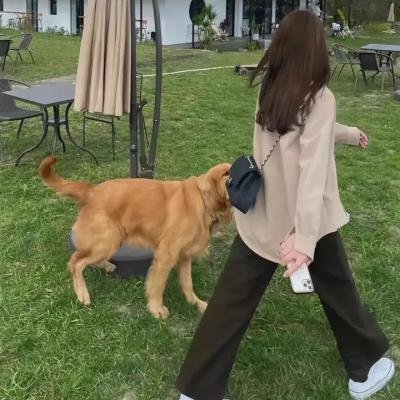 科尔贝格